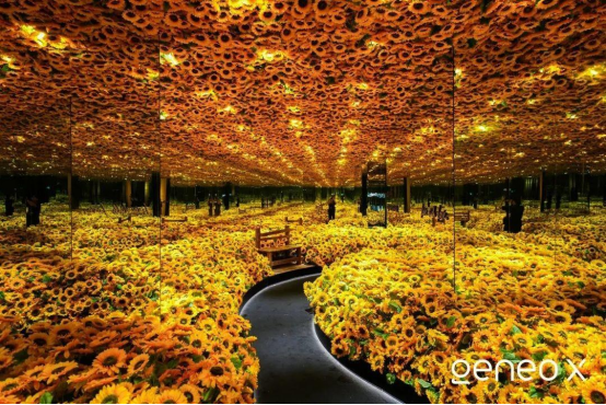 A11 科醫(yī)人Geneo X攜手 梵高再現Van Goth Alive 科技與藝術美學的完美跨界319.png